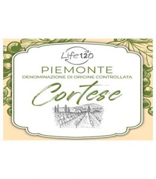 vino_piemonte_cortese